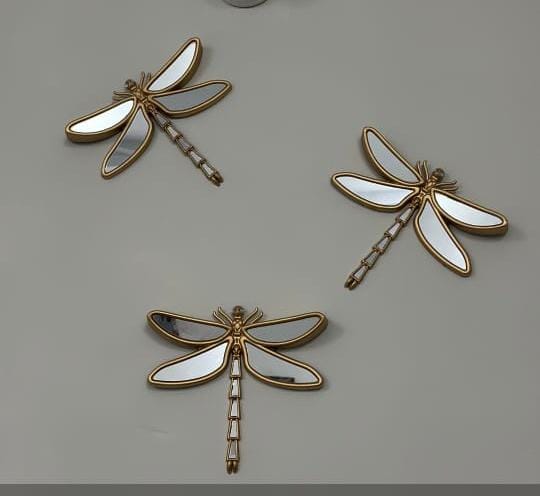 DRAGONFLY MIRROR