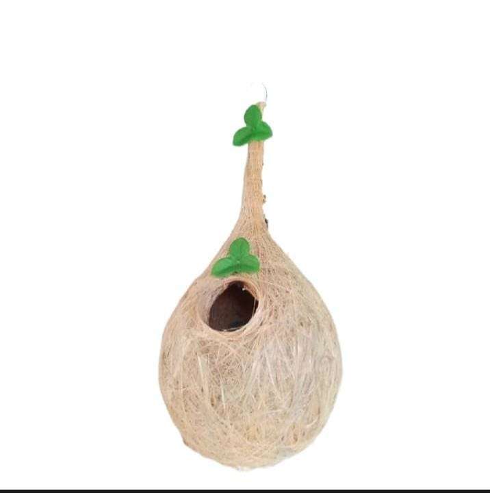 COCONUT BIRD NEST Need & Luxury