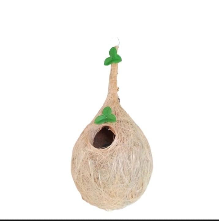 COCONUT BIRD NEST